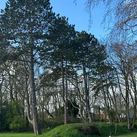 公寓 Vakantiehuisje Zon En Zee 奥德多普