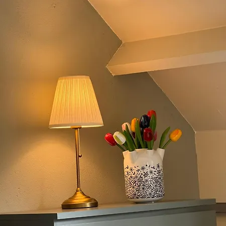 Vakantiehuisje Zon En Zee * 奥德多普